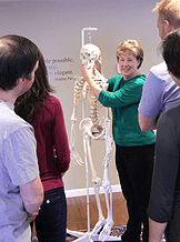 A specialty workshop at TotalMotion NW | Bellevue Feldenkrais