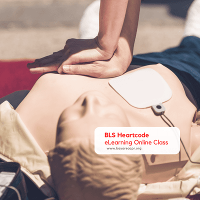 American Heart Association BLS Class in Santa Clara