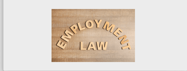 Specializing in Employment Law
 Employment lawyers protect the rights of employees!