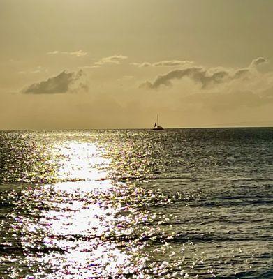 Sunset sailboat