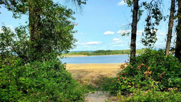 Disc golf side of the island