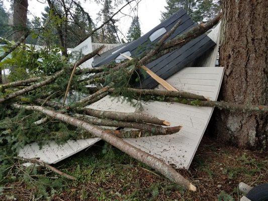 Tree Fallen on Shed - BEFORE