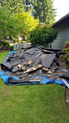 Trash left overnight on our lawn and garden plants.