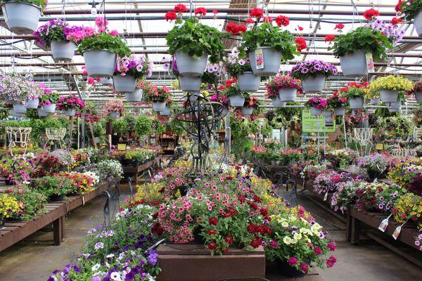 Green Valley Garden Center Spring 2019