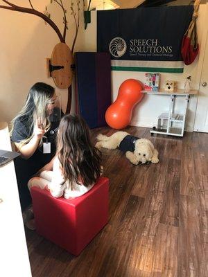 working with our visiting therapy dog Iyla