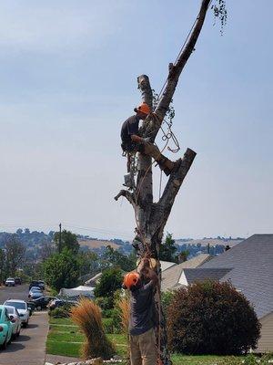 Get'er Done Tree Service