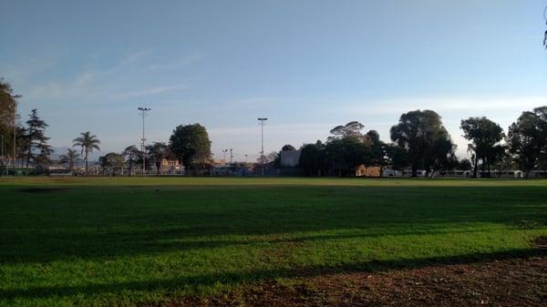 Baseball fields, soccer fields