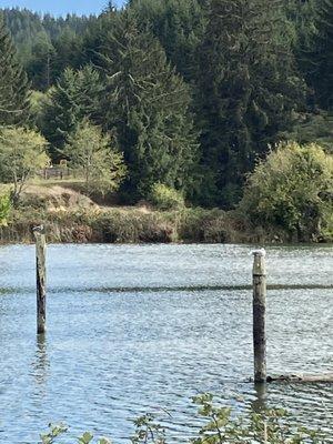 Coho RV Park & Marina