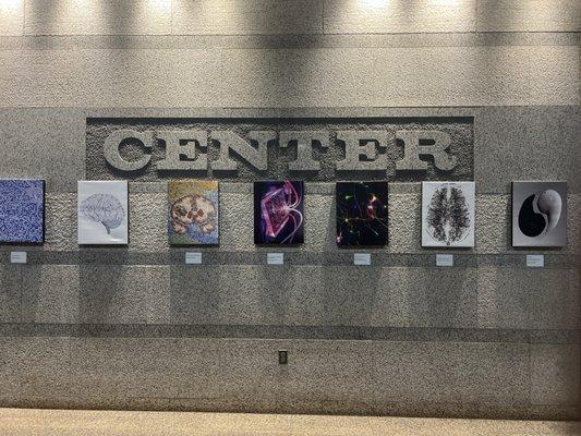 This art exhibit features, different artists' Interpretation of the human brain