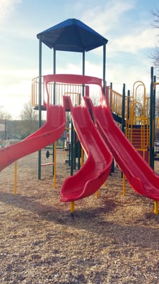 Taller jungle gym slides