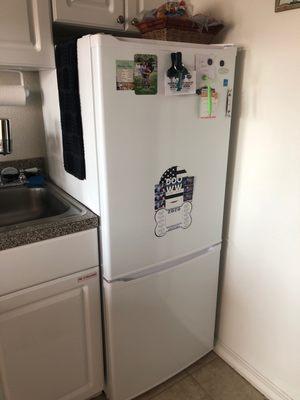 My new Fridge from Dave's.