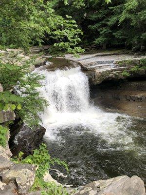 View of Bartlett's Falls from above.