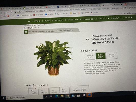 Photo of plant on website