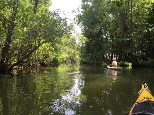 Paddling up Fly Creek