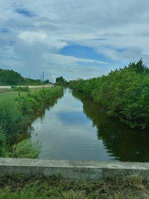 Pine Island Conservation Area