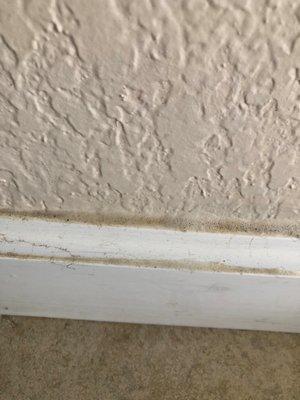 Cleaning dirt build up from baseboards