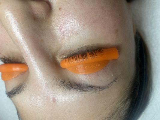 Lash Lift in progress