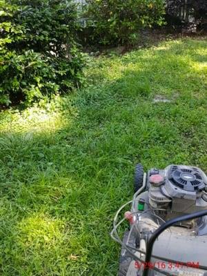 Lawn work /forclosure