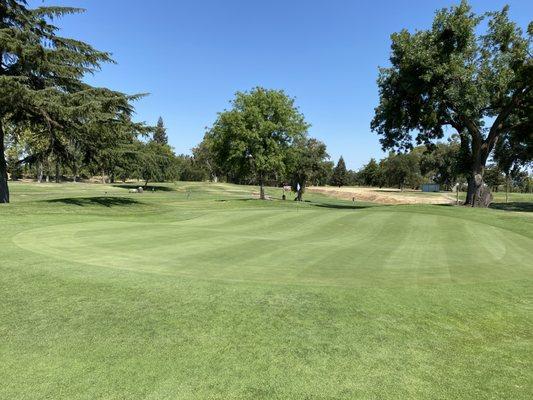 Greens in great shape