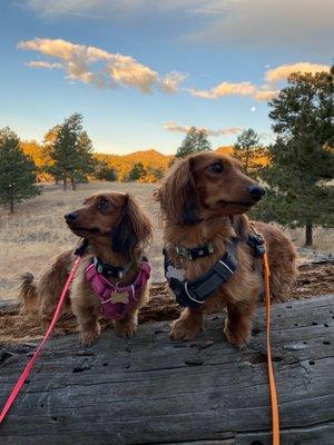 Exploring the trails!