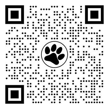 Website QR Code