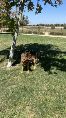 A day at the park.