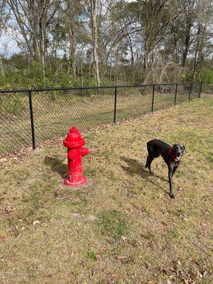 Fire hydrant