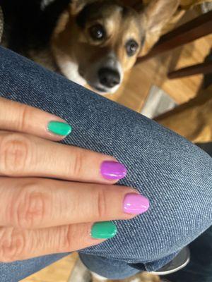 Gel manicure and corgi