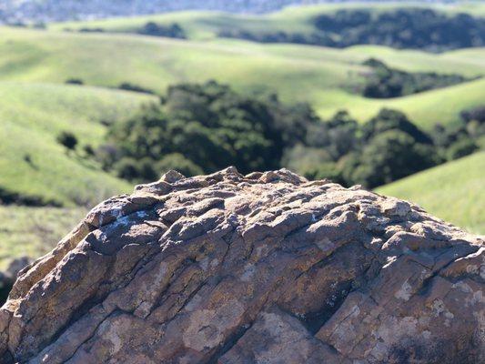 Loop along High Ridge Tr., Pioneer Tr., Meyer's Ranch Tr.