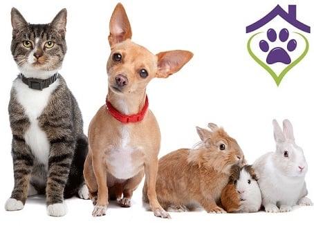 Preferred pet sitter of dogs, cats, guinea pigs, rabbits, and all pets!