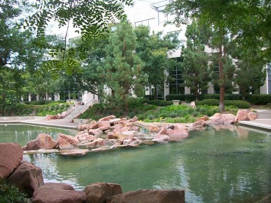 Rock garden above reflection pond.