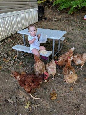 My granddaughter with her chickens