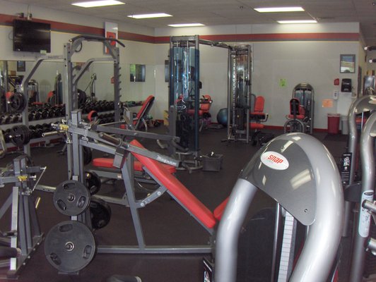 Weight Equipment and Free Weights