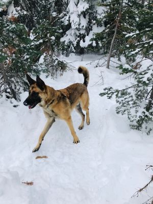 Dancing through the snow!