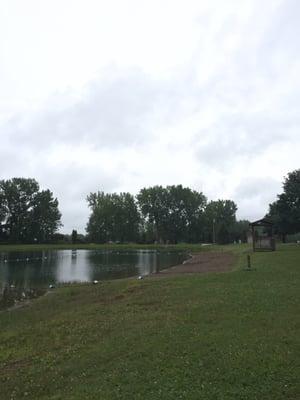 Tiny Beach in pond