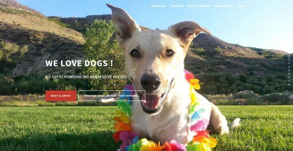 RenoTahoeDogs.com provides professional In Home Boarding and Walks (Fitness Adventures) for medium to large dogs (20 pounds +)