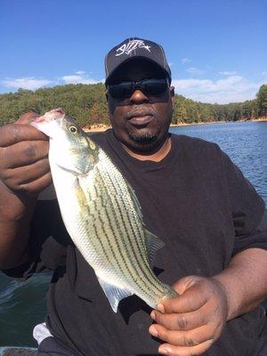 I just left The Dugout and went up to Lake Allatoona and caught this nice hybrid.