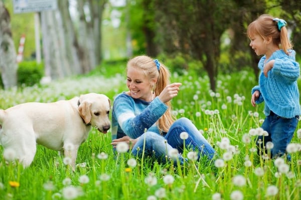 Allergy Breakthrough Center