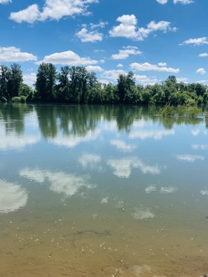 Ye olde Willamette River