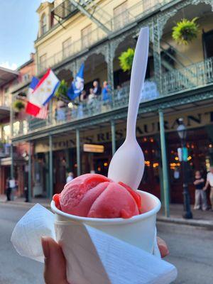 Vegan ponchatoula strawberry