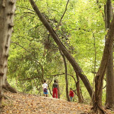 Children enjoy spending time in our outdoor learning environments. Our Main Campus boasts seven acres, including gardens and nature trails.