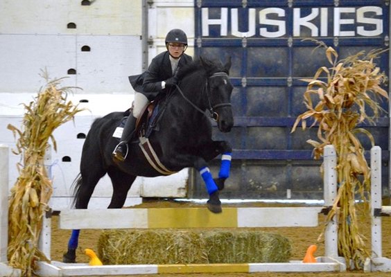 UConn Department of Animal Science Horse Riding Lessons