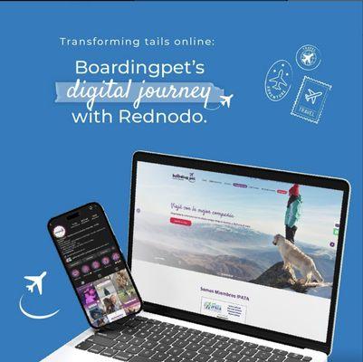 From vision to victory: our client Boardingpets witnessed a remarkable digital evolution with Rednodo.