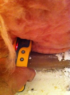 The red light indicates moisture trapped in the insulation inside the wall cavity behind drywall...