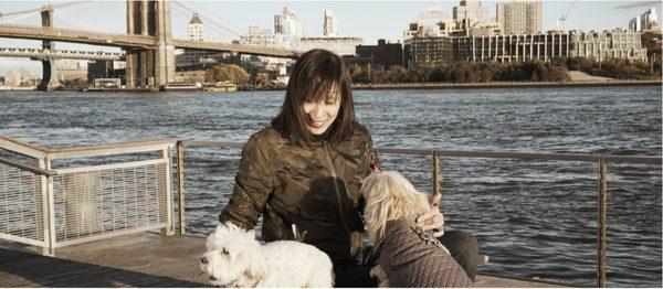 Krista the FiDi Dog Walker with Brutus and Duncan walking along the water in the Financial District