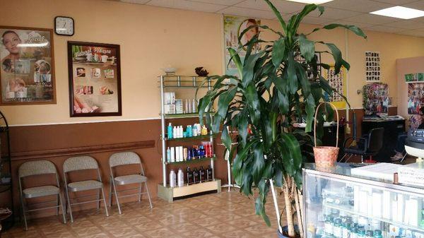 Inside the salon