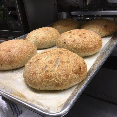 Momo's Rosemary Onion Boule