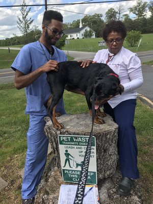 Dr Boyce is so dedicated that she treated my sick Rottie  "King" outside. He's so crazy he jumped on that log and she kept treating him!