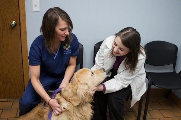 Animal Clinic at New Lenox