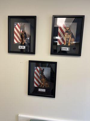 Hill AFB Veterinary Services